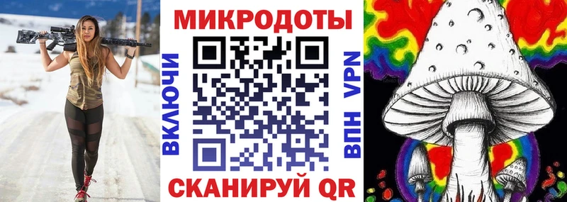 Галлюциногенные грибы Psilocybine cubensis  Купить  Полесск 